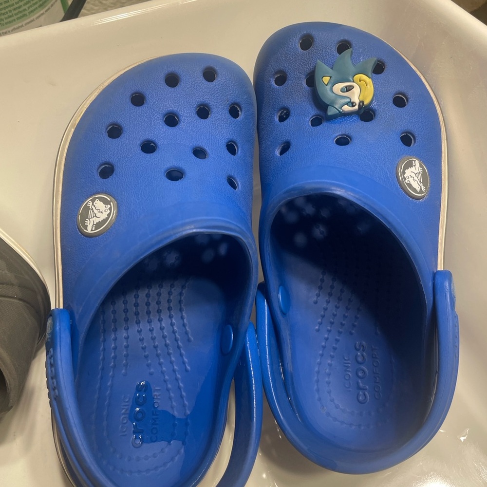 Kids Blue Crocs